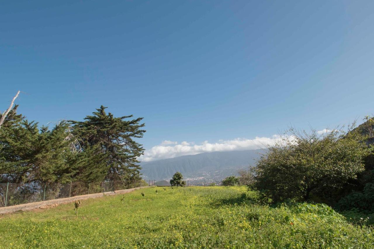 Casas En Finca Ecologica La Espiral, Naturaleza, Calma Y Vistas Al Mar, Icod el Alto Екстериор снимка