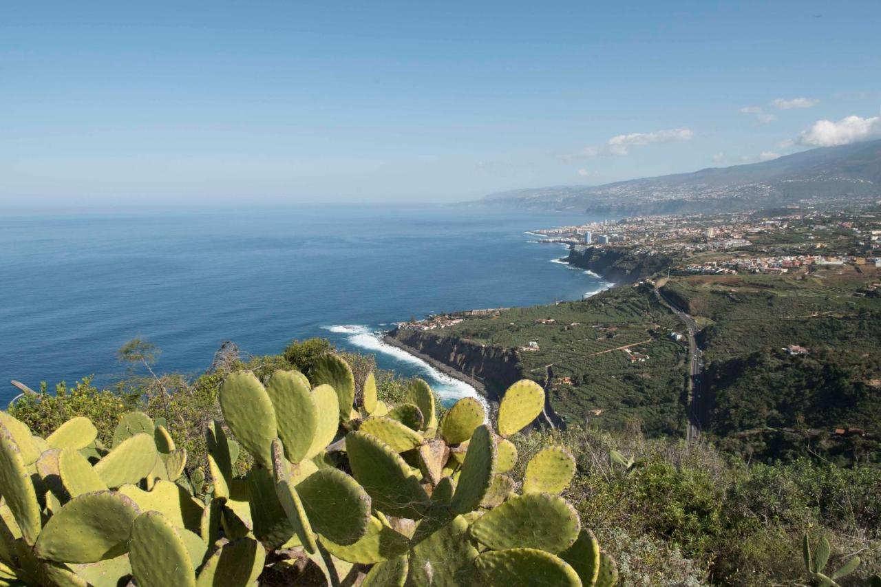 Casas En Finca Ecologica La Espiral, Naturaleza, Calma Y Vistas Al Mar, Icod el Alto Екстериор снимка