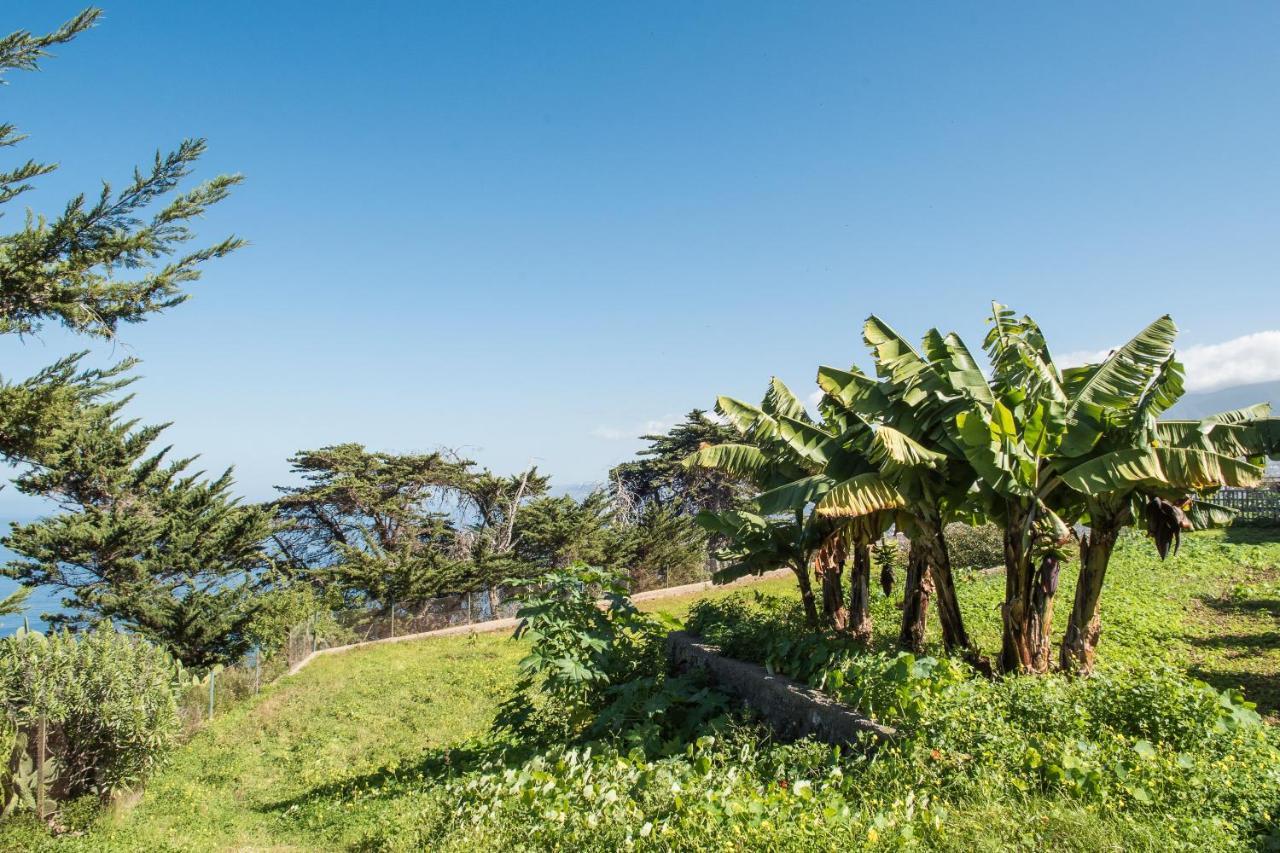 Casas En Finca Ecologica La Espiral, Naturaleza, Calma Y Vistas Al Mar, Icod el Alto Екстериор снимка