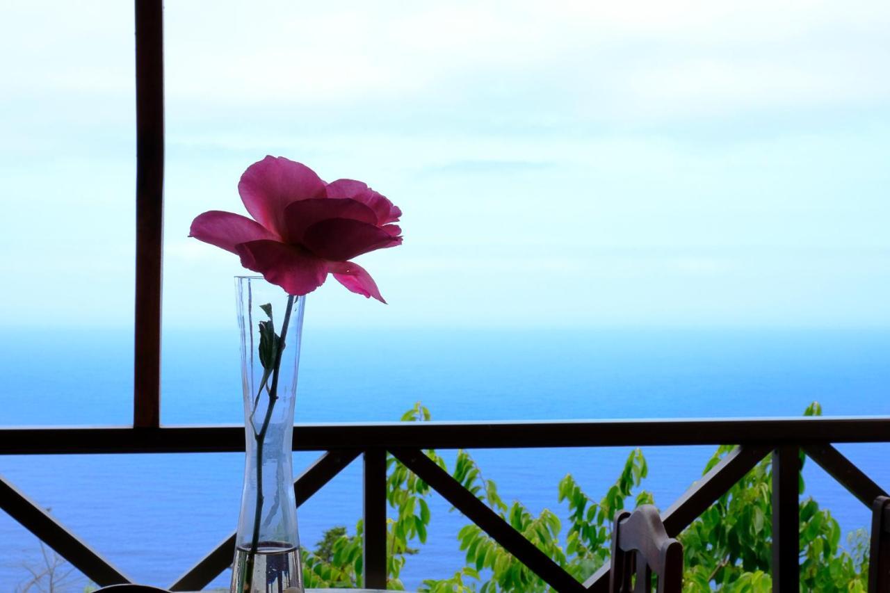 Casas En Finca Ecologica La Espiral, Naturaleza, Calma Y Vistas Al Mar, Icod el Alto Екстериор снимка