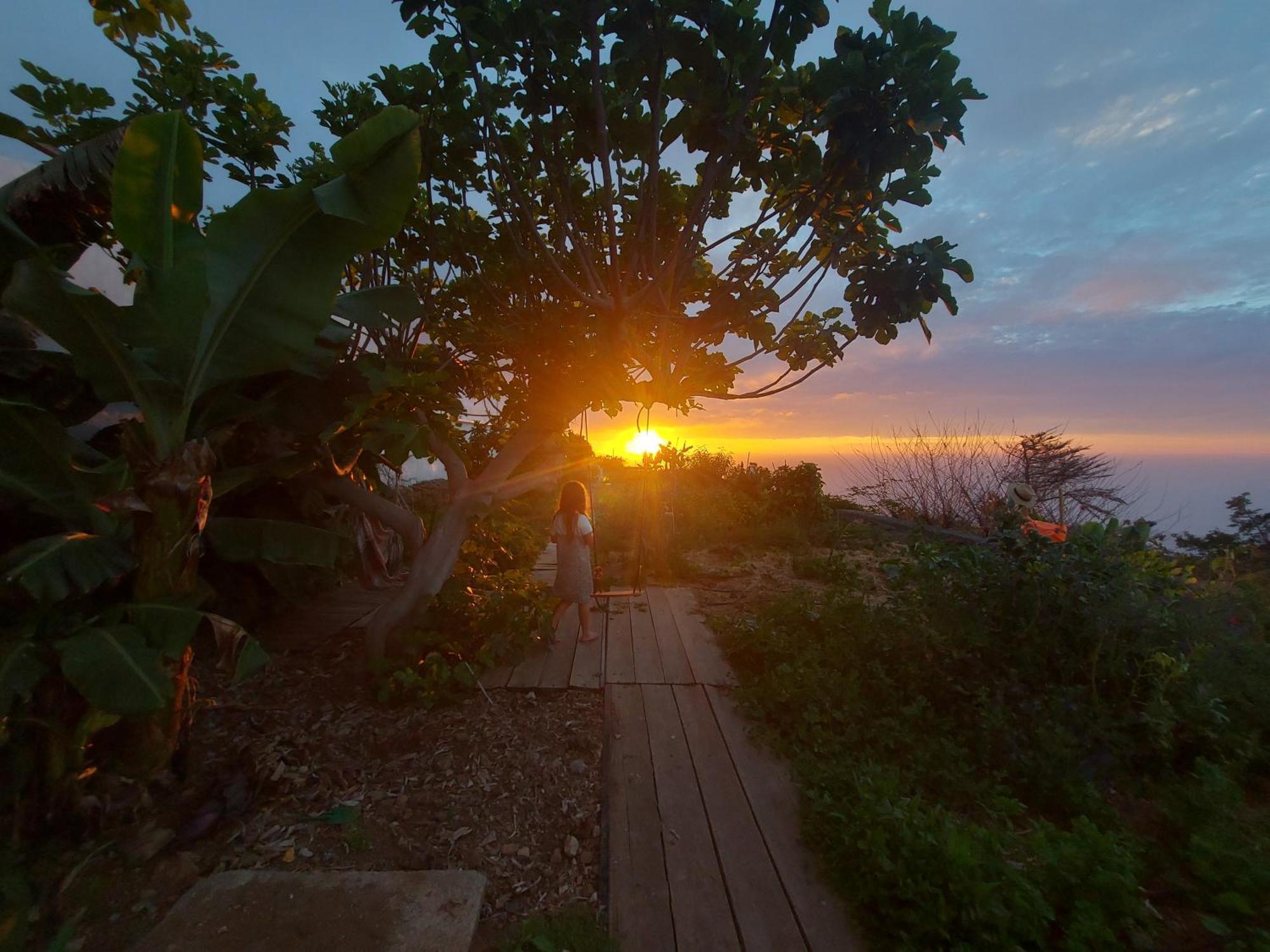 Casas En Finca Ecologica La Espiral, Naturaleza, Calma Y Vistas Al Mar, Icod el Alto Стая снимка