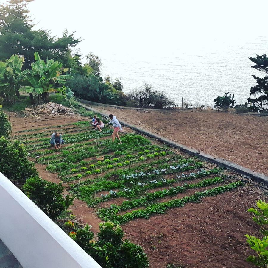 Casas En Finca Ecologica La Espiral, Naturaleza, Calma Y Vistas Al Mar, Icod el Alto Екстериор снимка