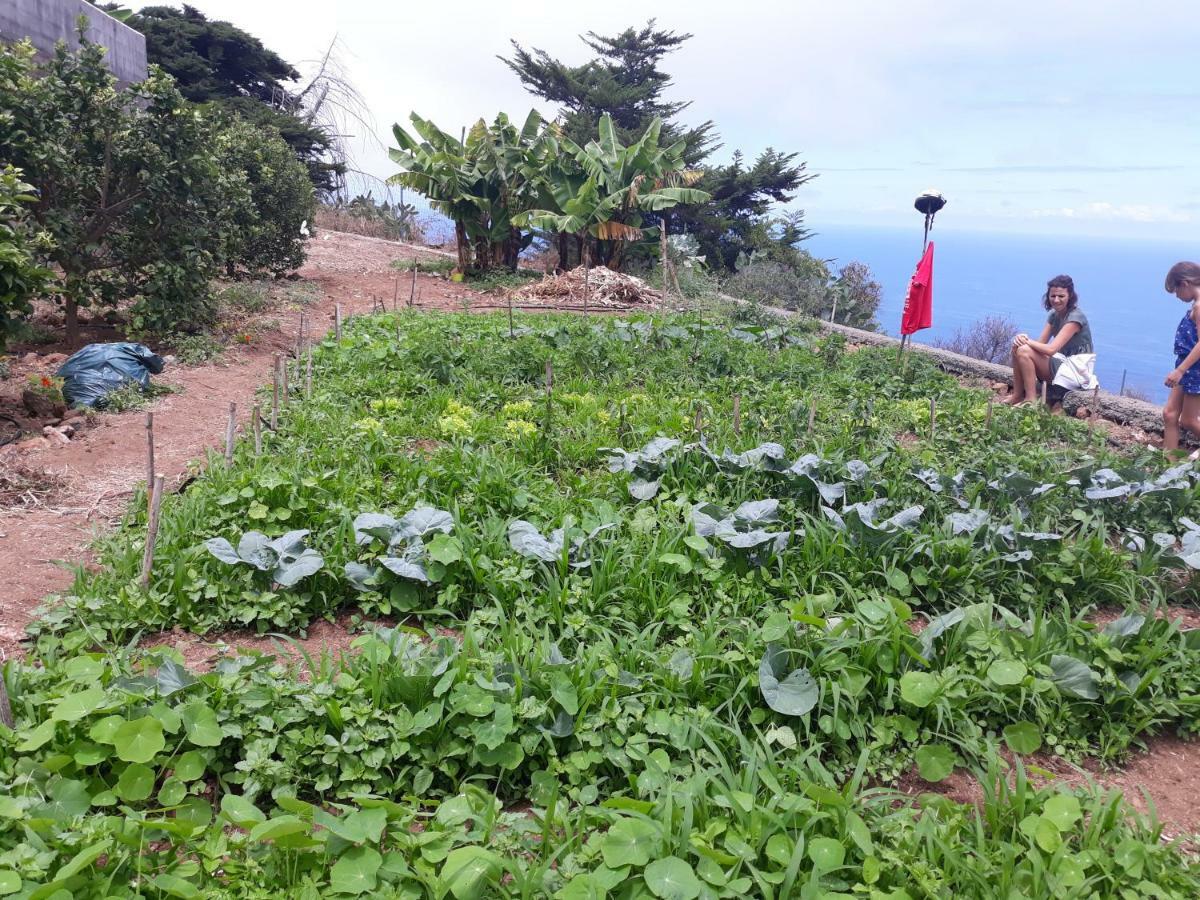 Casas En Finca Ecologica La Espiral, Naturaleza, Calma Y Vistas Al Mar, Icod el Alto Екстериор снимка